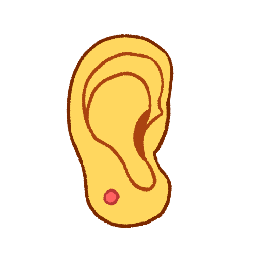 a right ear. it has a longer earlobe and round pink earring. 